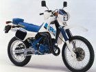 Suzuki RH 250X